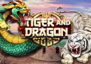 dragon and tiger